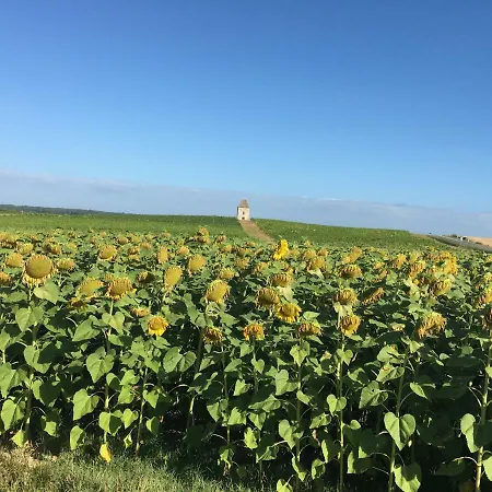 Laplaneze Loubes-Bernac